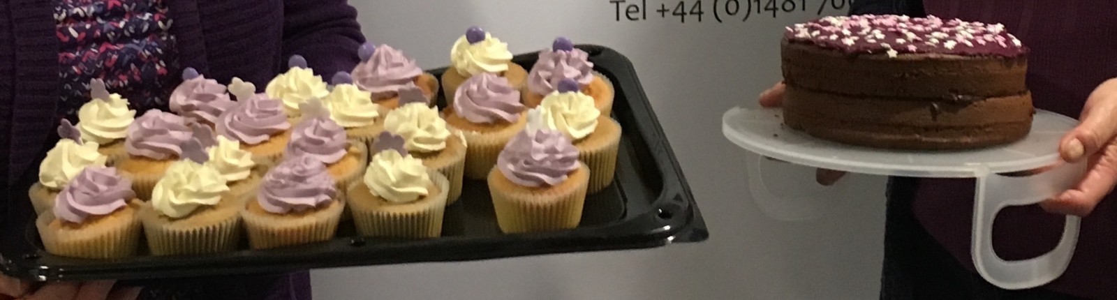 Gower Bakers go Purple to support Polio campaign